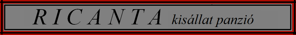 R I C A N T A - rgcslpanzi